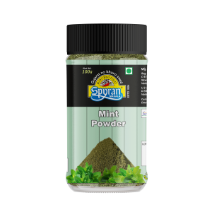 Fudina/Mint Chutney Powder